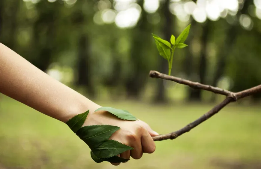 Çevre Kirliliği Üzerinde Bir Etkiniz Olmadığını Düşünüyorsanız Tekrar Düşünün