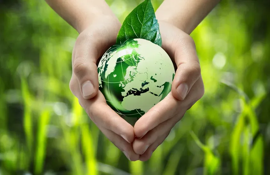 Yeşil ve Sürdürülebilir Kozmetik Nedir?